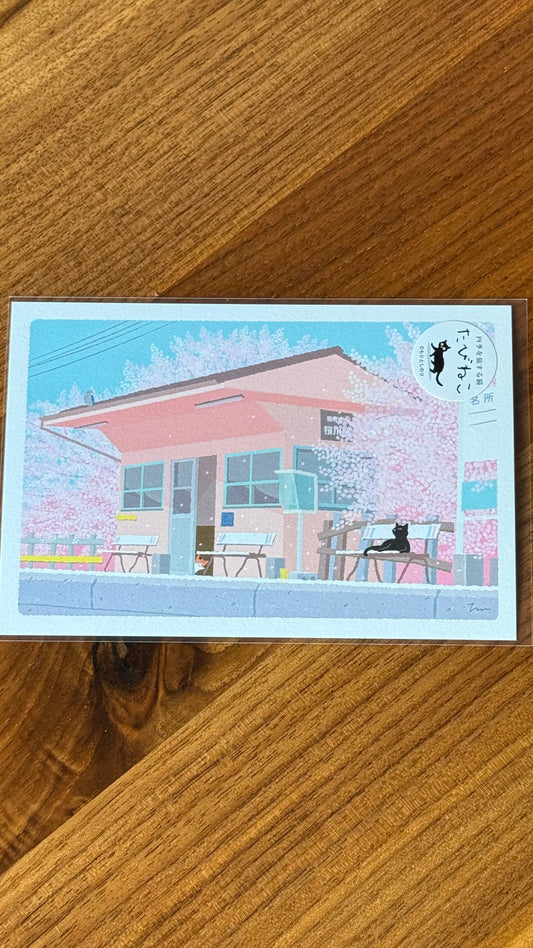 Tabineko Seasonal Postcard – Cherry Blossom Viewing