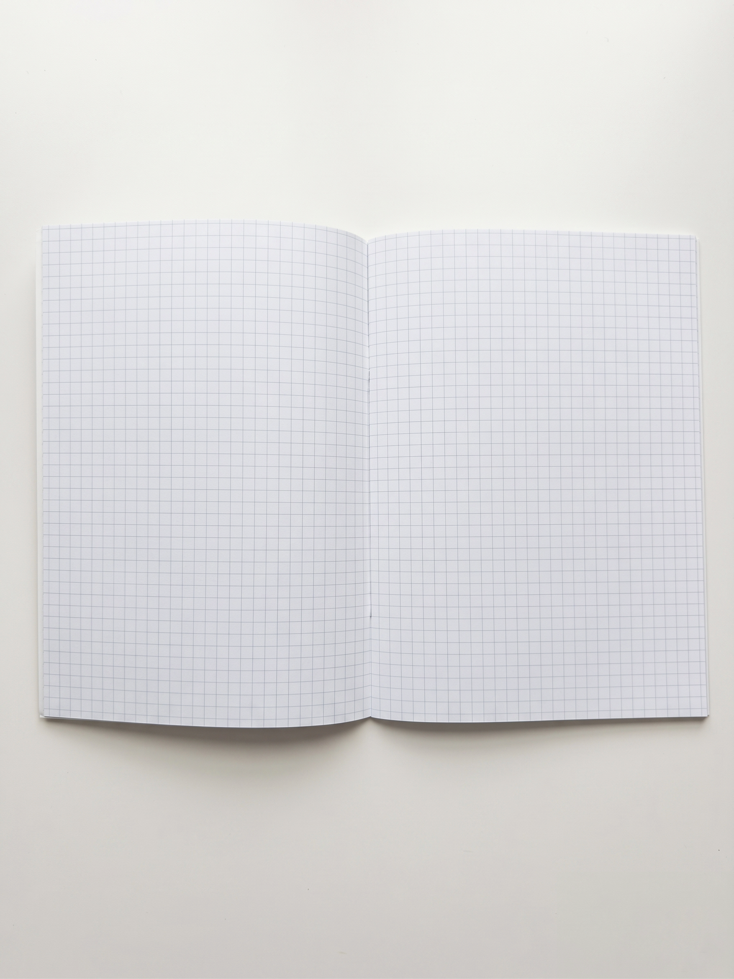 Fish Notebook