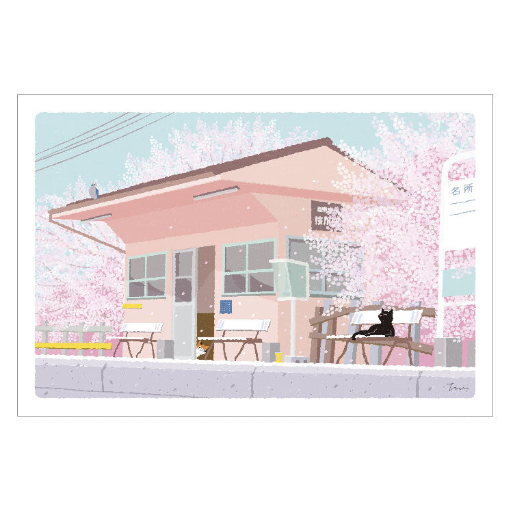 Tabineko Seasonal Postcard – Cherry Blossom Viewing