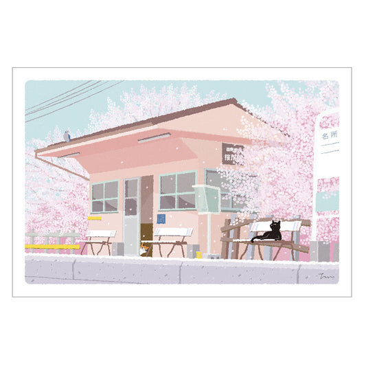 Tabineko Seasonal Postcard – Cherry Blossom Viewing