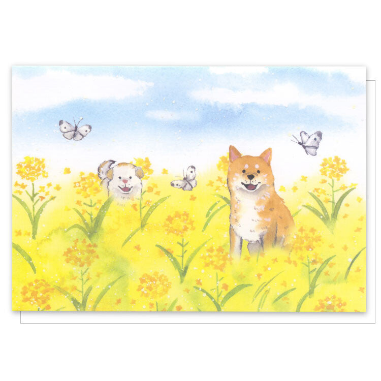 Shiba Inu Fields of Gold Pop-up Card