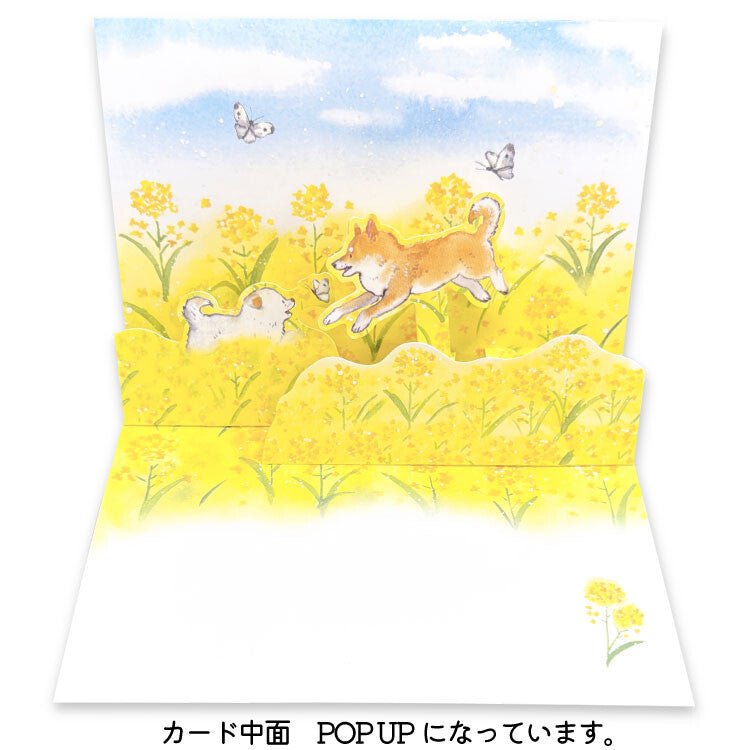 Shiba Inu Fields of Gold Pop-up Card